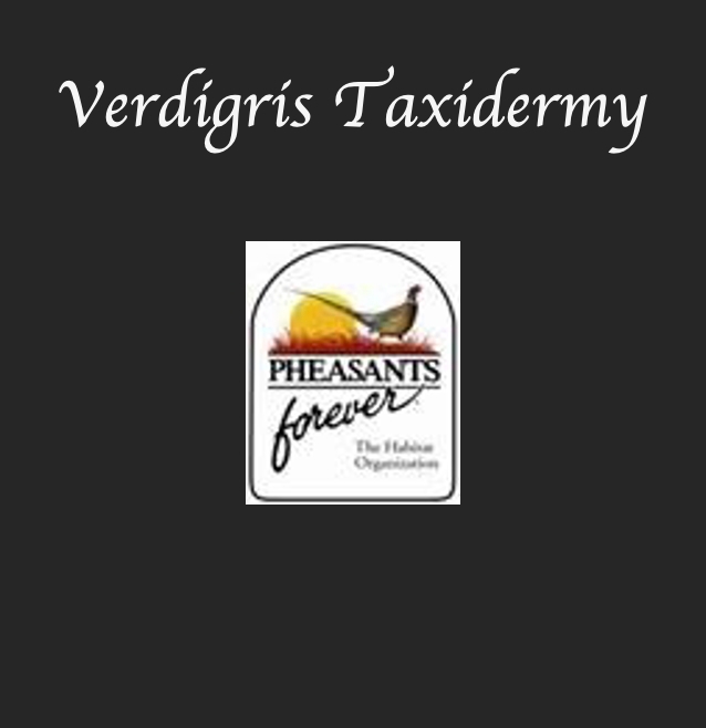 Verdigris Taxidermy